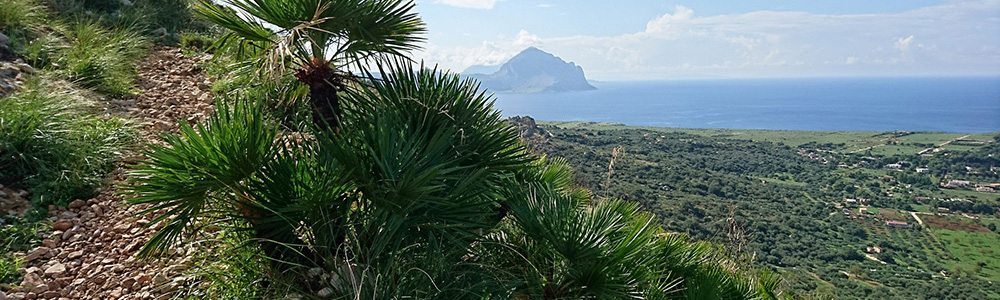 Sicilië reis - San Vito Lo Capo